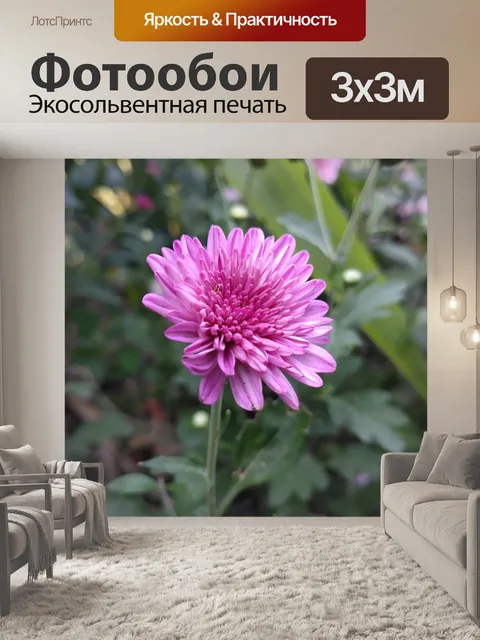 Фотообои Цветы