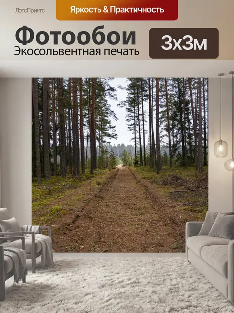 Фотообои Дорога