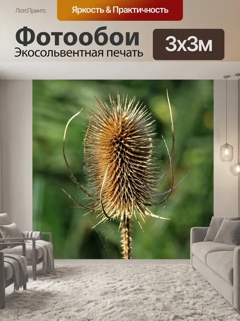 Фотообои Природа