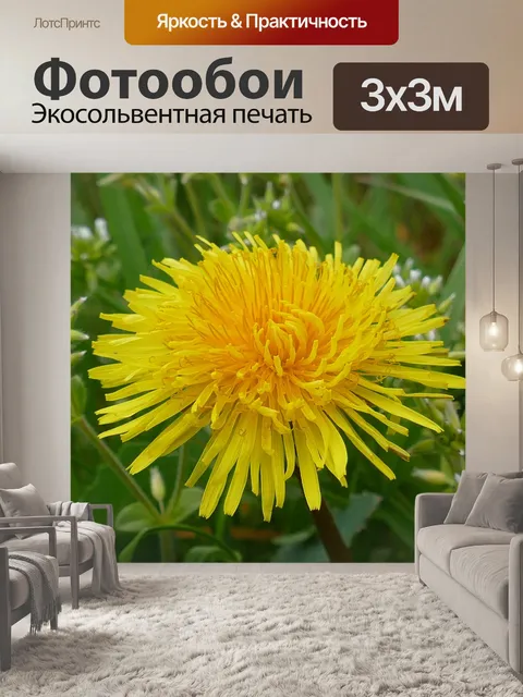 Фотообои Одуванчик