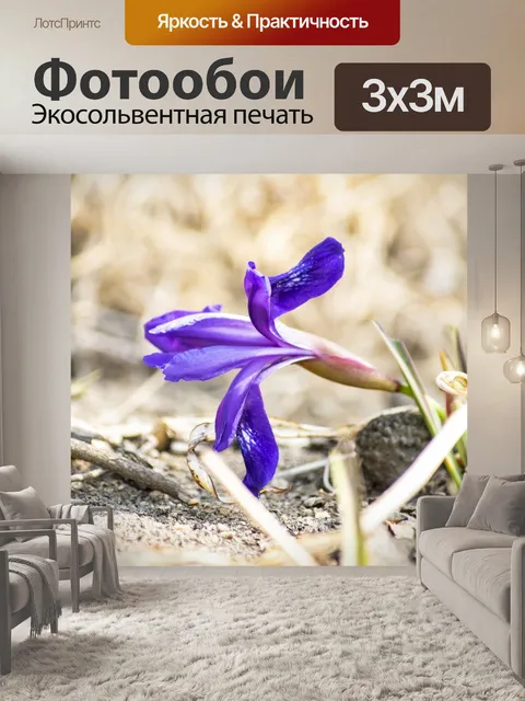 Фотообои Ирис