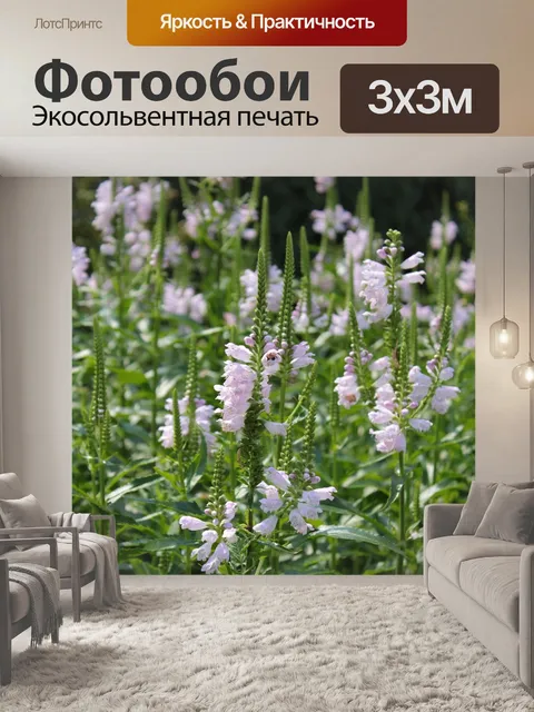 Фотообои Цветы