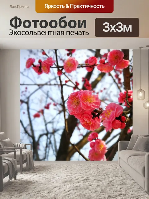 Фотообои Ветвь