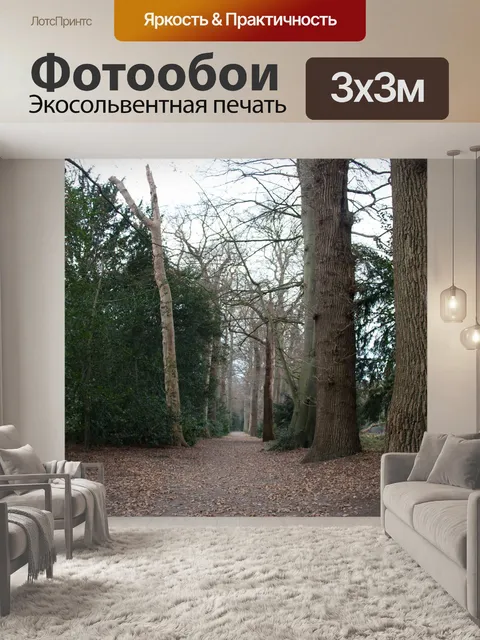 Фотообои Лес
