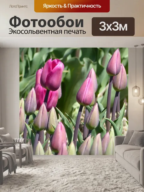 Фотообои Тюльпаны