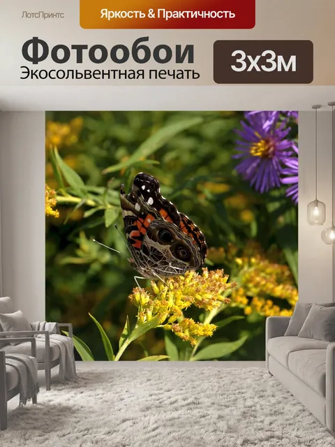 Фотообои Цветы