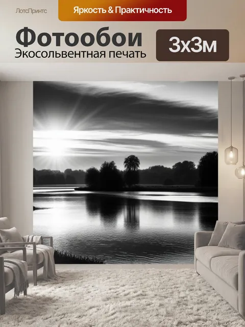 Фотообои пейзаж с природой закат чернобелый