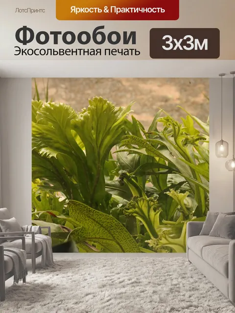 Фотообои листья зеленого растения
