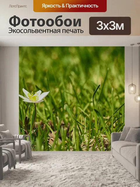 Фотообои Анемоны
