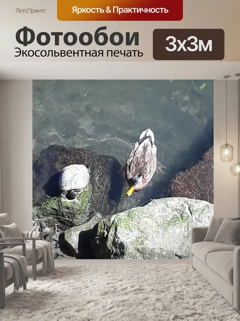 Фотообои Черепаха и утка вместе