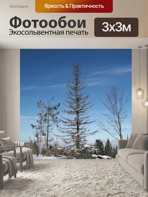 Фотообои Зима