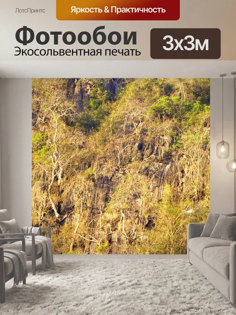 Фотообои Вид на восход солнца утром в Шри Нан