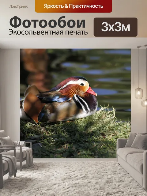 Фотообои Птица