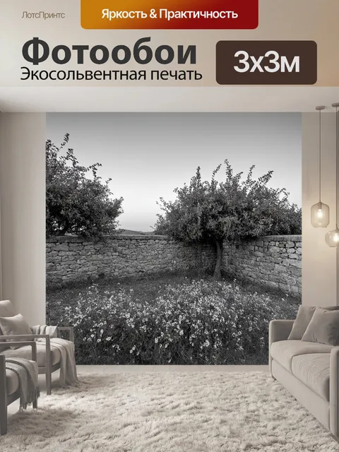 Фотообои прованс: вечером, когда горизонты окрашиваются мягкими розовыми и золотыми оттенками, оливковые деревья…