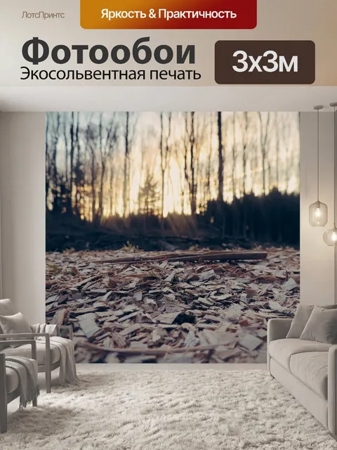 Фотообои Лес