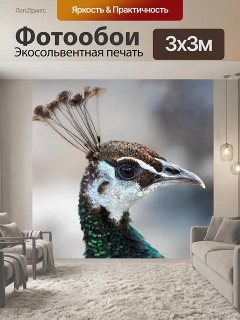 Фотообои Павлин
