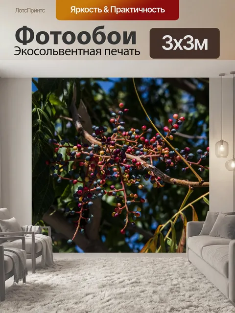Фотообои Красный и синий ягоды