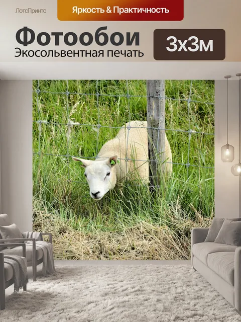 Фотообои Через каждое отверстие