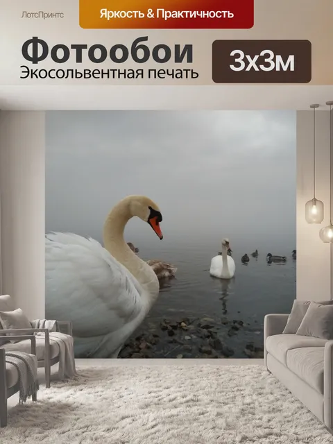 Фотообои Лебедь
