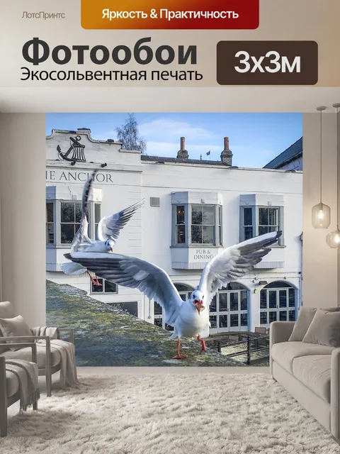 Фотообои Птица