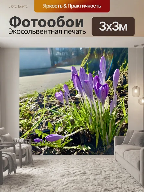 Фотообои Земля