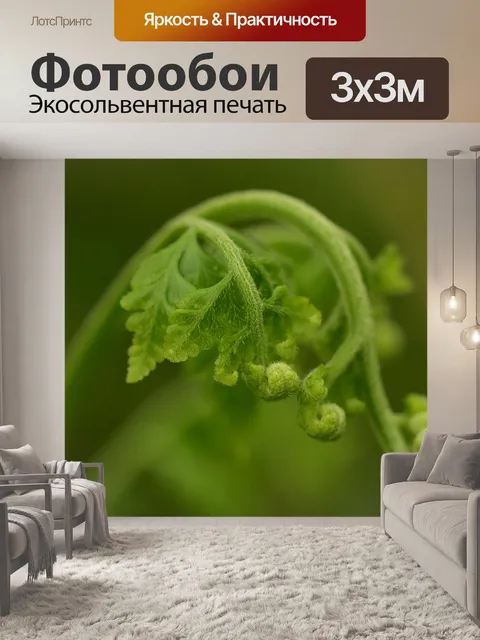 Фотообои Папоротники