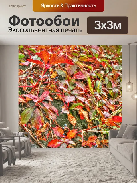 Фотообои Осенний лист фона