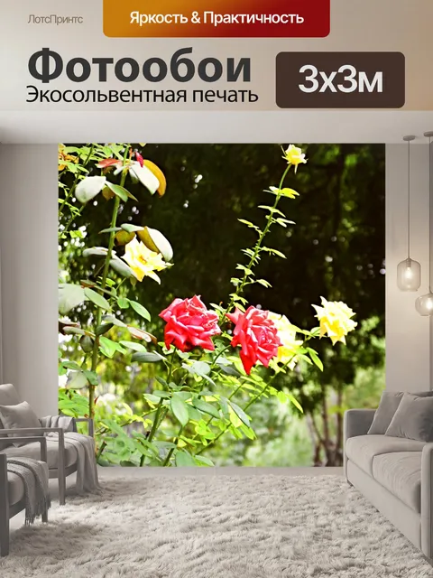 Фотообои Красные и желтые розы