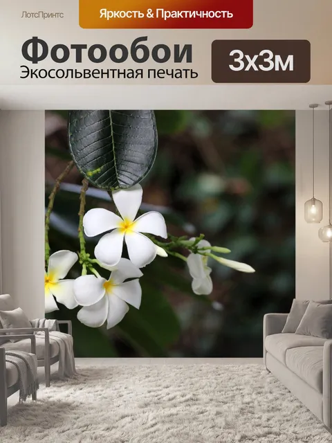 Фотообои Магнолия Белые Цветы