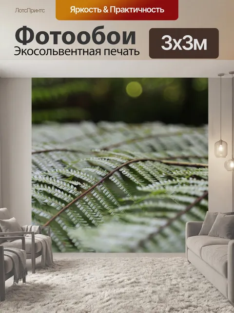 Фотообои Папоротник