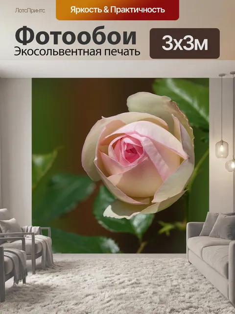 Фотообои Розовый
