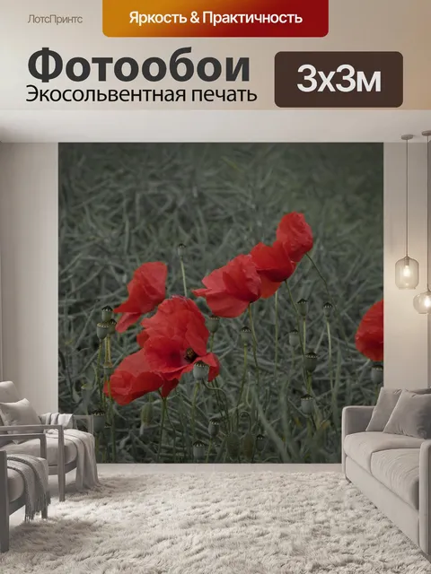 Фотообои Красный мак