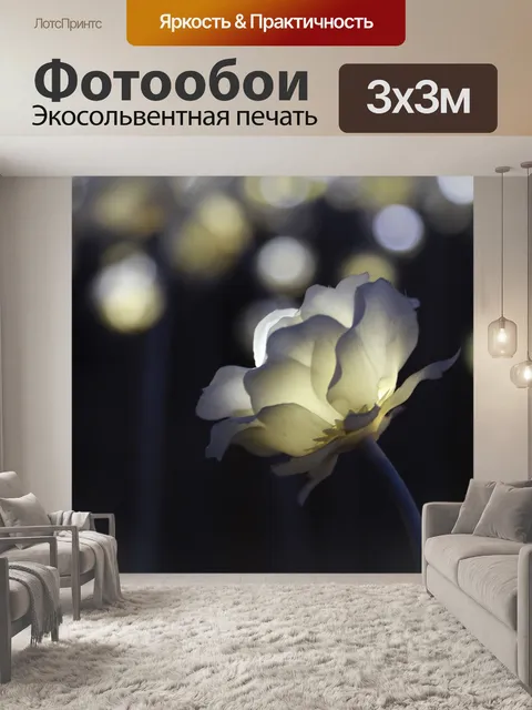 Фотообои Роза