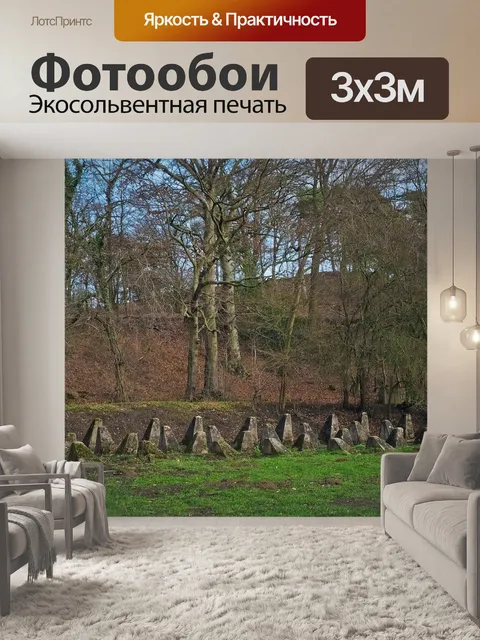 Фотообои Лес
