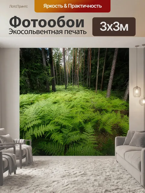 Фотообои Папоротник