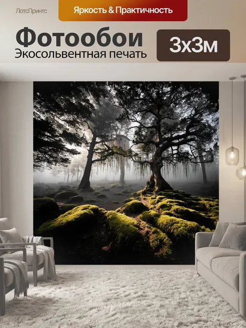 Фотообои древние ели, покрытые мягким слоем тумана, возвышаются над мшистыми камнями, придавая всей сцене ощущение…