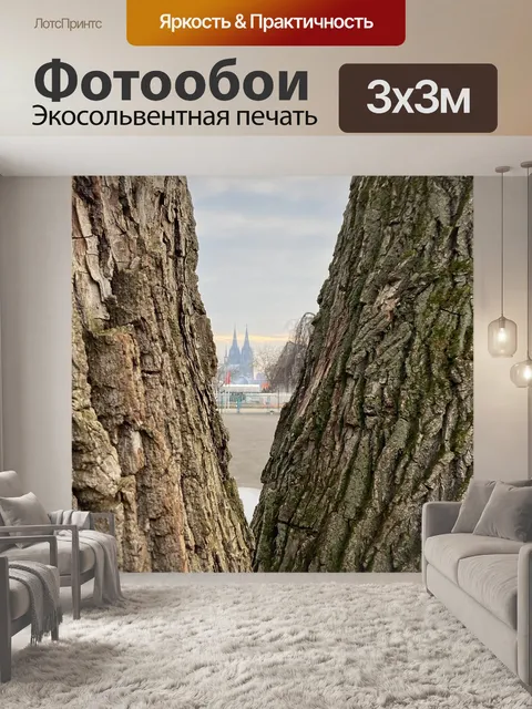Фотообои Деревья