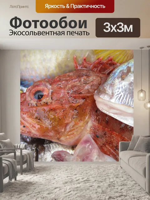 Фотообои Рыбы