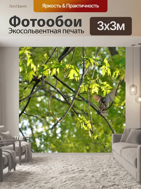 Фотообои Птицы