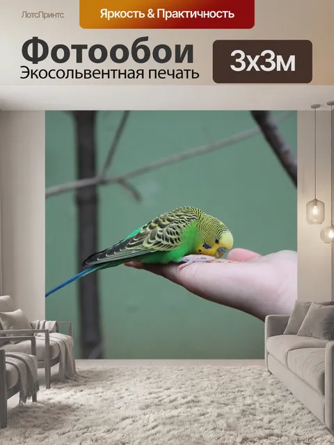 Фотообои Новые функции