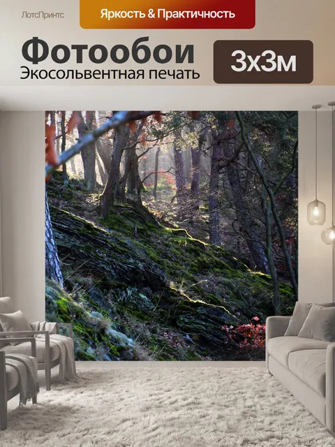 Фотообои Лес