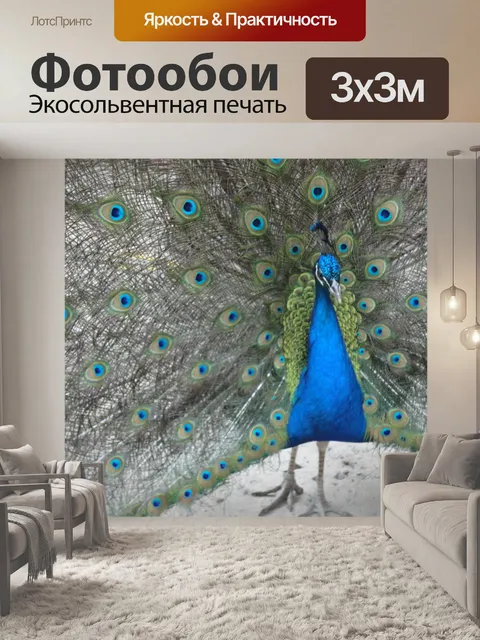 Фотообои Павлин без невесты