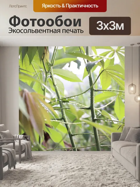 Фотообои Дождь