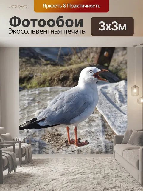 Фотообои Птица