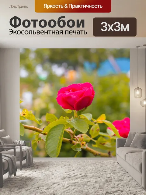 Фотообои Розы