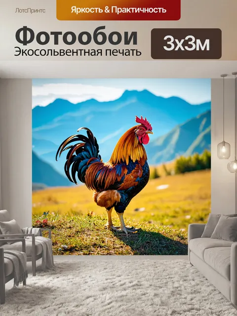 Фотообои петух в ярком утреннем свете