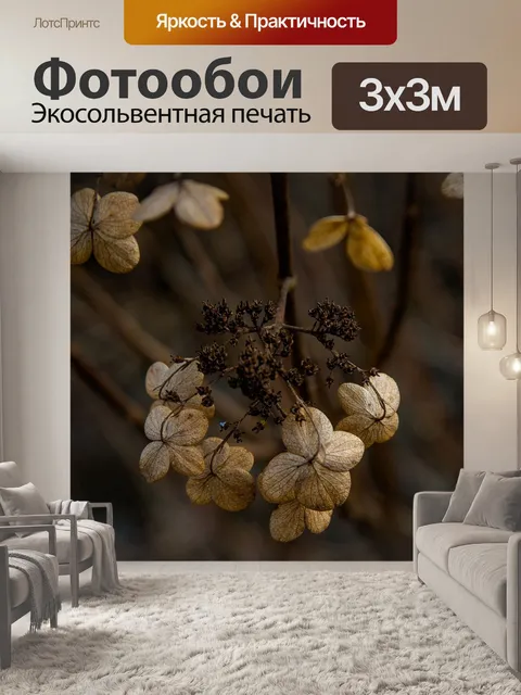 Фотообои Гортензия