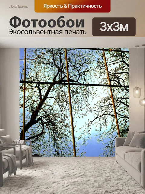 Фотообои Стеклянные стены