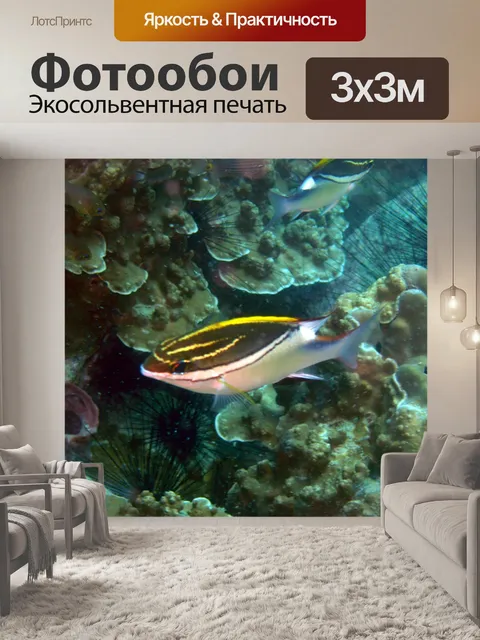 Фотообои Тропические рыбы