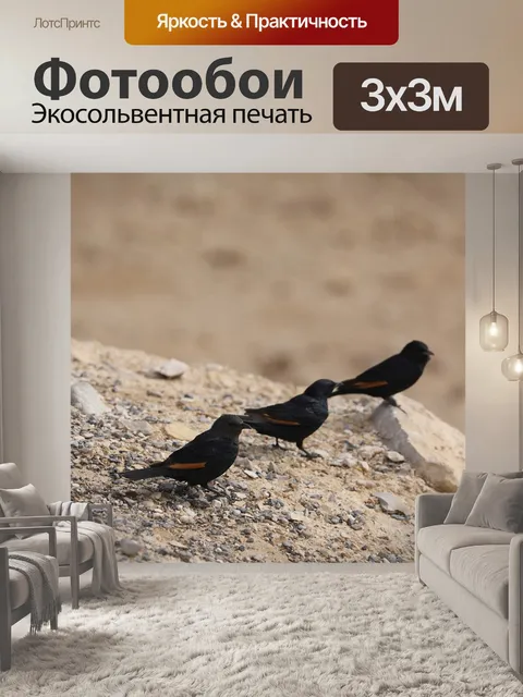 Фотообои Птицы